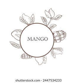 Handgezeichnete Mangofrucht mit rundem Umriss - Banner. Vektorillustration von tropischen Früchten für gesunde - Mango. Tinte Farbe Kunst im Vintage-Stil. 