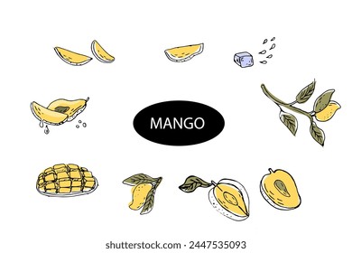 Fruta de mango dibujada a mano en arte de bocetos - conjunto de Vector con hielo. Ilustración vectorial de frutas tropicales para sanos - mango. Pintura de tinta en estilo vintage. 