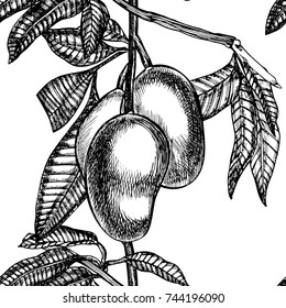 Hand drawn mango fruits set with leafs and mango slices and cubes. Sketch style vector fruit illustration isolated on white background. Organic food
