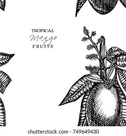 Hand drawn mango fruits set with leafs and mango slices and cubes. Sketch style vector fruit illustration isolated on white background. Organic food