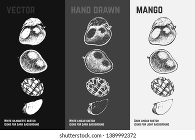 Hand drawn mango icons set isolated on white, gray and black chalk background. Sketch of exotic fruits for packaging and menu design. Vintage vector illustrations.