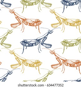 Hand drawn mantis sketch.Vintage style summer background.  Seamless pattern with  insect drawing. Vector illustration.