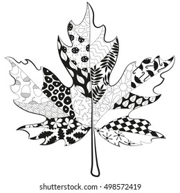 hand drawn maple doodle leaf