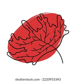 Hand drawn maple leaf with brush stroke. Black outline element on red spot. Vector illustration isolated on transparent background. Canada symbol clip art