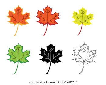 Hand Drawn Maple Leaf Different Colors. Nature and plants concept vector art