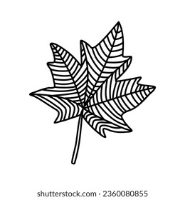 Hand drawn maple leaf doodle outline. Maple leaf in line art style isolated on white background