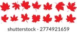 Hand drawn Maple leaf, National symbol of Canada.