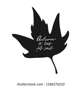 Hand drawn maple  leaf on white background. Designed with lettering Autumn is time for soul