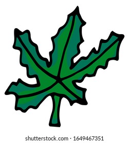 Hand drawn maple leaf outline. Maple leaf in line art style isolated on white background. Vector drawn by hand.
