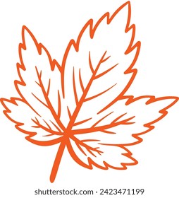 Hand Drawn Maple Leaves Line Art with Aesthetic Vector Illustration for Autumn Nature Background and Banner Element Decoration