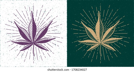 Hand Drawn Marijuana or Cannabis Straight and Inverted Leaves with Rays Circles Ste Yin Yang Style Compositin - Gold and Purple on White and Turquoise Background - Vector Vintage Graphic Design