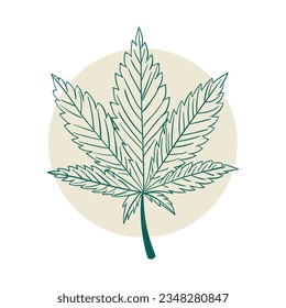 Hand drawn Marijuana leaf. Marijuana leaf isolated on white background. Marijuana leaf Sketch. vector illustration. Marijuana leaf outline illustration. line art drawing. cannabis leafs.