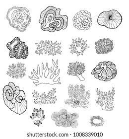 Hand drawn  marine life set. Isolated on white. Sketch vector illustration.