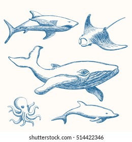 Hand drawn marine life set