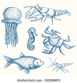 Hand drawn marine life set