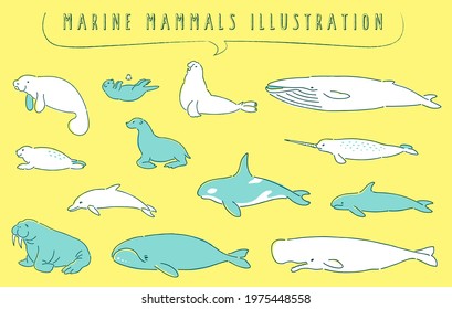 hand drawn marine mammals illustration set