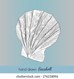 Hand drawn marine seashell. Vector illustration for travel card, template, zoology, print etc.