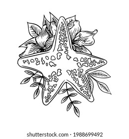 Hand drawn marine Starfish with lilies nature ocean aquatic underwater vector. Engraving illustration on white background. Sketch starfish