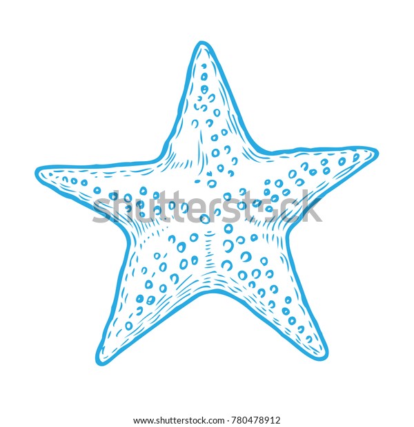 Hand Drawn Marine Starfish Nature Ocean Stock Vector (Royalty Free ...