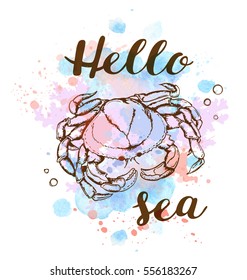 Hand drawn marine summer background with blue watercolor texture and crab