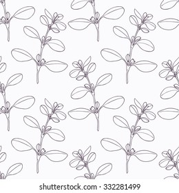 Hand drawn marjoram branch outline seamless pattern. Doodle drawing spicy herbs. Kitchen background. Hand drawn seasoning. Vector illustration