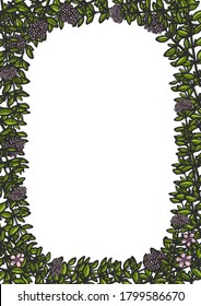 Hand drawn marjoram sketch style poster. Wreath banner engraved drawing of leaves. Grunge stylized ink blossom herbal banner. Aromatherapy, folk and alternative medicine. 