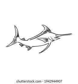 Hand Drawn Marlin fish jump marlin, vector sketch on a white background