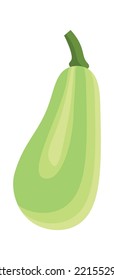 Hand drawn marrow vegetable Food icon. Vector illustration