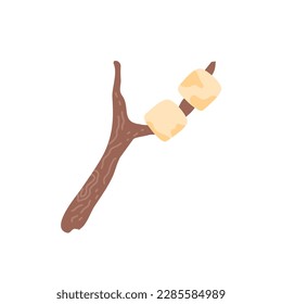 hand drawn marshmallow on a stick