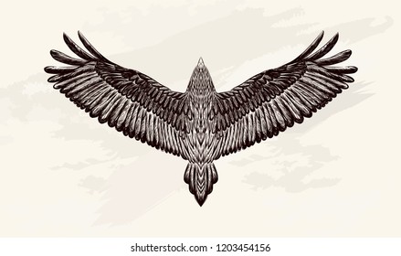 Hand drawn mascot on the watercolor background. sketch for tattoo art.Grunge background with white hand drawn hawk.Flying bird on the grey ground. Engraved owl. Vector isolated illustration. 