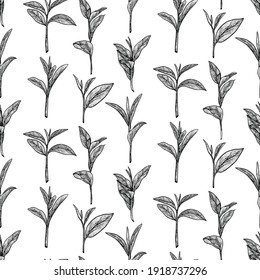 Hand drawn matcha tea seamless pattern in graphic style, vector illustration.
