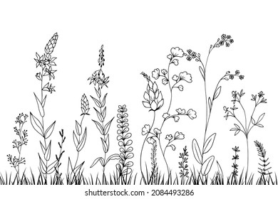 Flores de pradera dibujadas a mano y hierbas aisladas en blanco. Ilustración vectorial en estilo de esbozo.
