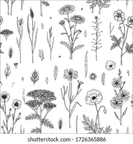 Hand drawn meadow flowers seamless pattern. Vector illustration in sketch style