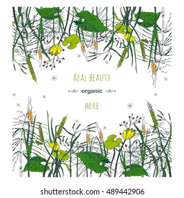Hand drawn meadow and forest herbs and flowers for cosmetic medical design.Healthy lifestyle vector design.