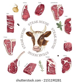 Hand drawn meat elements set. Steak cuts set. 