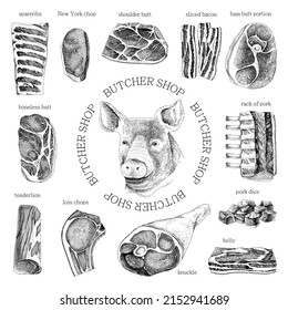 Hand drawn meat elements set. Butcher shop logo. 