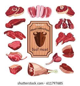 Hand drawn meat elements set with colorful different parts of cutting beef isolated vector illustration