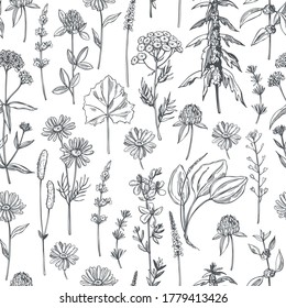 Hand drawn medicinal herbs.Vector  seamless pattern.