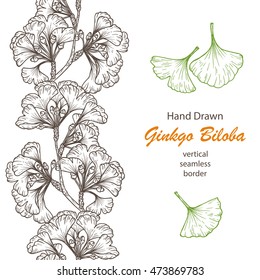 Hand drawn Medicinal plant Ginkgo Biloba Tree. Branches Vertical seamless border and Leaves set. Vector illustration.