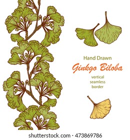 Hand drawn Medicinal plant Ginkgo Biloba Tree. Branches Vertical seamless border and Leaves set. Vector illustration.