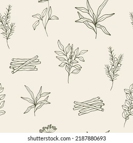 Hand drawn medicinal plants and ayurvedic herbs seamless pattern