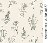 Hand drawn medicinal plants seamless pattern. Feverfew, kelp, chickweed, cattail, fireweed, bamboo