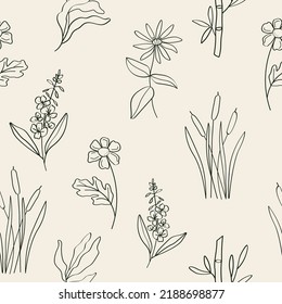 Hand drawn medicinal plants seamless pattern. Feverfew, kelp, chickweed, cattail, fireweed, bamboo