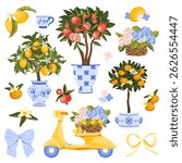 Hand drawn Mediterranean element collection with lemon, pomegranate and tangerine orange trees in decorative pots, citrus fruits and yellow scooter with hydrangea flower basket. Vector illustration.