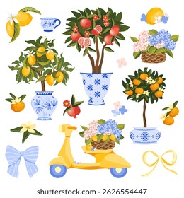 Hand drawn Mediterranean element collection with lemon, pomegranate and tangerine orange trees in decorative pots, citrus fruits and yellow scooter with hydrangea flower basket. Vector illustration.