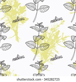 Hand drawn melissa branch and handwritten sign. Spicy herbs seamless pattern with hand lettering seasoning title. Doodle kitchen background. Vector illustration
