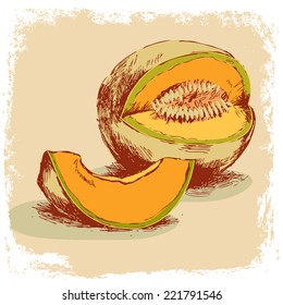 hand drawn of melon.vector illustration