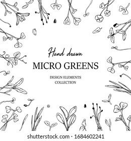 Hand drawn micro greens botany frame. Healthy vegetarian and vegan food design. Vector illustration in sketch style