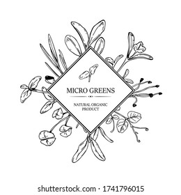 Hand drawn micro greens botany square frame. Healthy vegetarian and vegan food design for company logo, print, packages. Vector illustration in sketch style