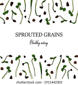 Hand drawn micro greens botany frame. Sprouted grains design. Vector illustration in colored sketch style